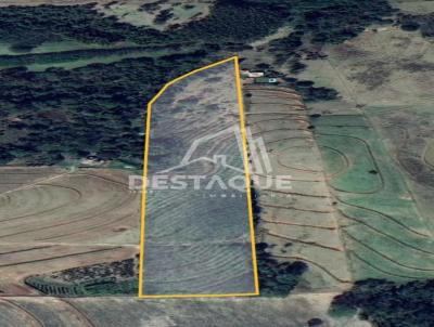 Chcara para Venda, em Parapu, bairro distrito