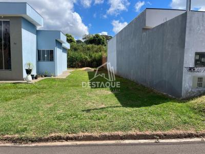 imagem-miniatura