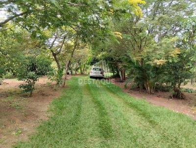 Chcara para Venda, em Indiana, bairro -