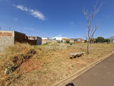 Terreno para Venda, em Regente Feij, bairro Bela Vista